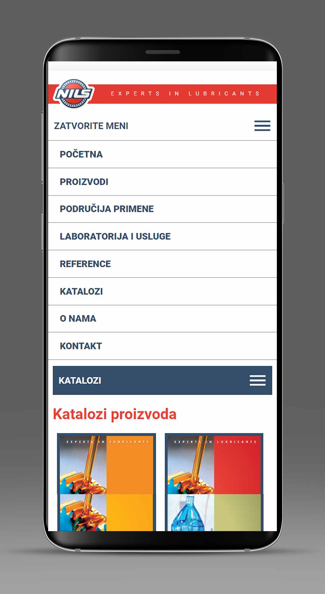 NILS Serbia Website Development